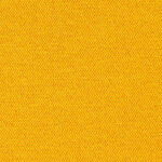 Maize F226